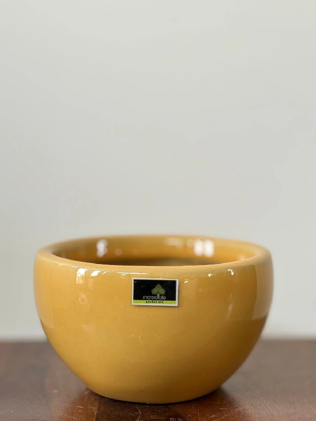 Ceramic Bowl Mustard